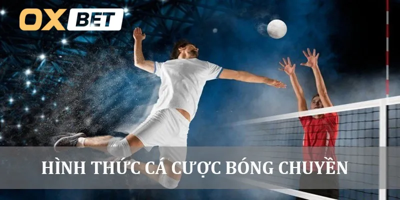 Hình thức cá cược bóng chuyền