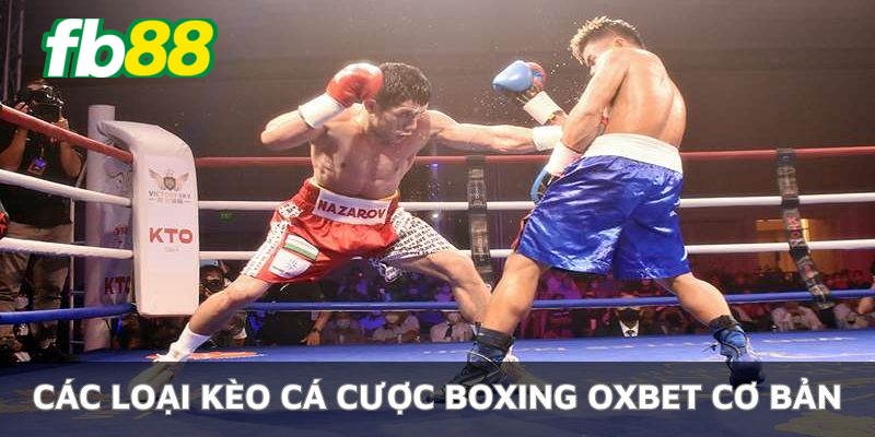 Các tỷ lệ kèo boxing Oxbet phong phú hiện nay