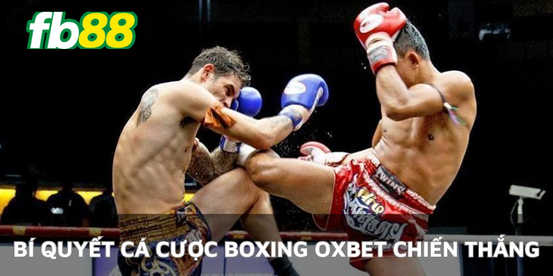 Phương pháp nhận định boxing Oxbet giành chiến thắng